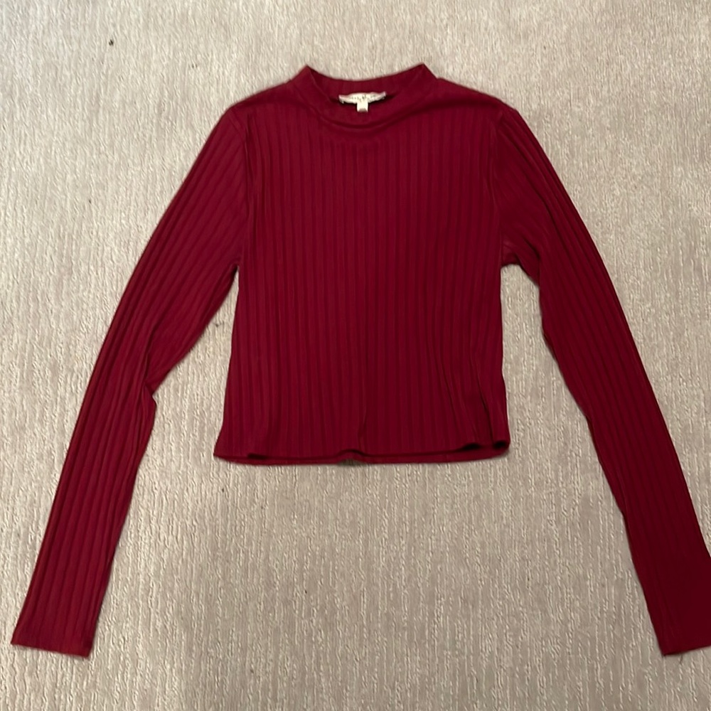 Express Maroon long sleeve crop top